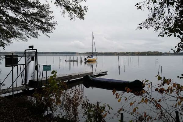 Immobilie in Märkische Heide - Bungalow am Schwielochsee zu verkaufen! - Bild 0