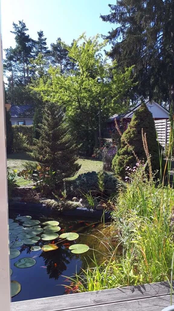 Immobilie in Mühlenbecker Land - Eine Einfamilienhausidylle zum sorglosen Leben mitten in Zühlsdorf - Bild 3