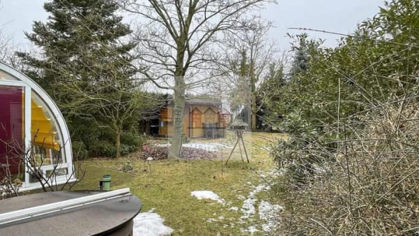Immobilie in Bad Liebenwerda - Wohnen, wo andere zur Kur fahren - Ihr neues Zuhause in Bestlage von Bad Liebenwerda - Bild 4