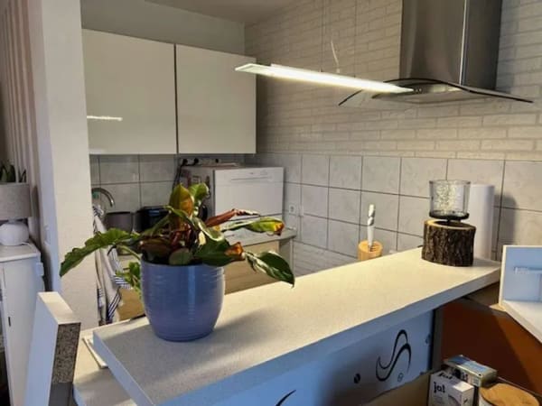 Immobilie in Zeuthen - Ruhige 2-Zimmer + Tiefgaragenstellplatz - fußläufig zur S-Bahn - Bild 3