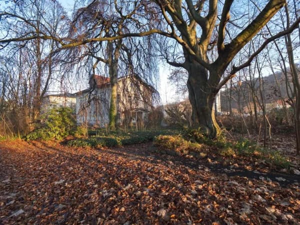 Immobilie in Freital - Gründerzeitvilla mit parkähnlichem Grundstück - Denkmalschutz - Bild 0