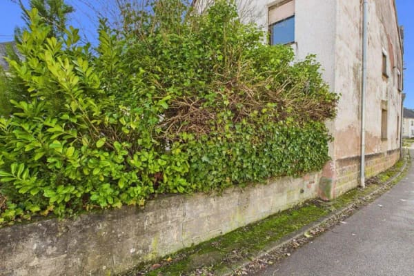 Immobilie in Osburg - Haus in Osburg - Das Haus hat 3 Wohnungen - Die Rendite ist 6 Prozent - TEXT IN LEICHTER SPRACHE - Bild 4