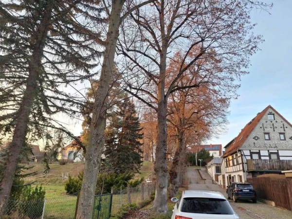 Immobilie in Oederan - Einfamilienhaus - Bild 4