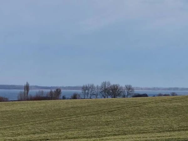 Immobilie in Kühlungsborn - WOHNEN MIT WEITBLICK – EIN HAUS VOLLER MÖGLICHKEITEN  - Bild 0