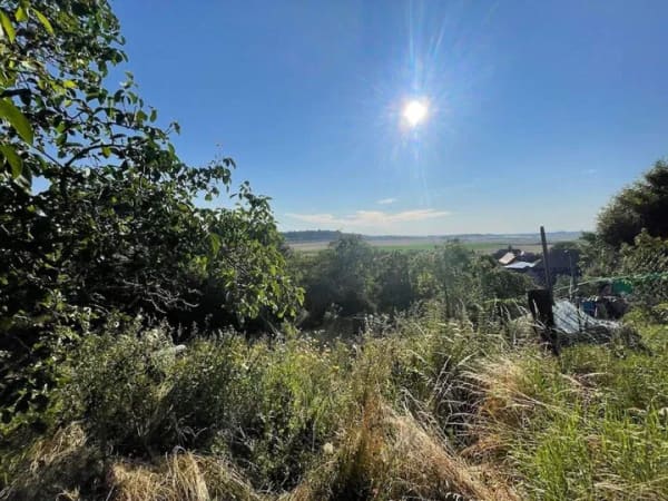Immobilie in Blankenburg - Wohnen in naturnaher Lage mit Fernblick - Bild 2