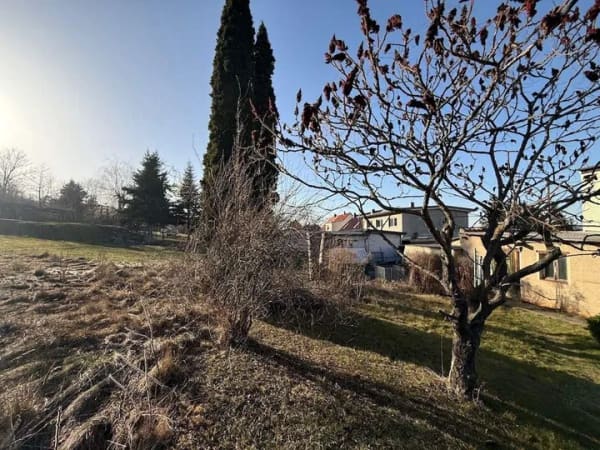 Immobilie in Ballenstedt - Einfamilienhaus mit sonnigem Grundstück in Rieder zu verkaufen. - Bild 2
