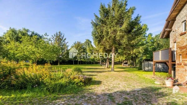 Immobilie in Bentwisch - Seltene Gelegenheit für Investoren - Historisches Gutshausensemble auf über 7.600 Quadratmetern Land - Bild 4