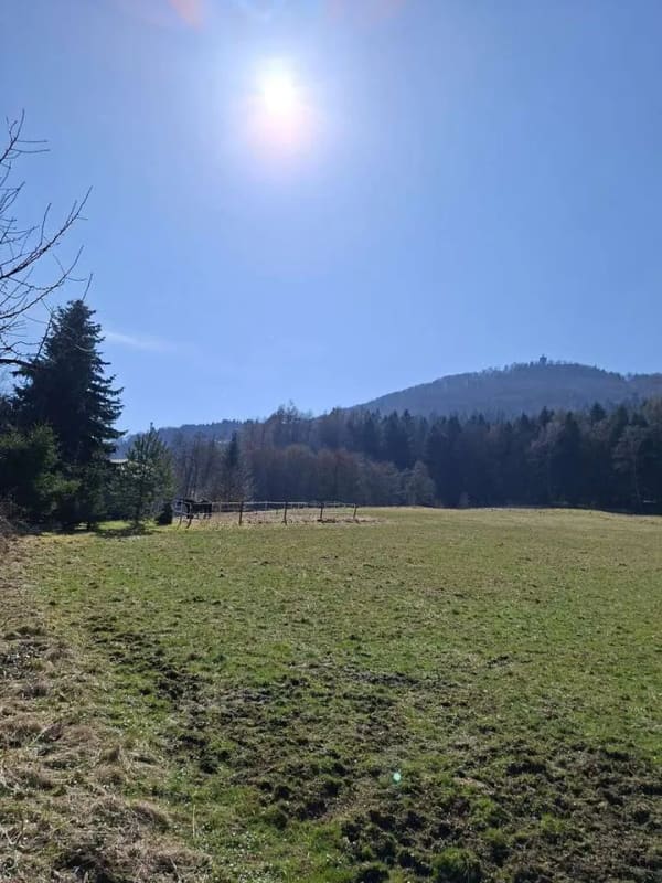 Immobilie in Großschönau - Wohnen wo andere abschalten-Haus mit Blick auf die Lausche in traumhafter Naturlage - Bild 0