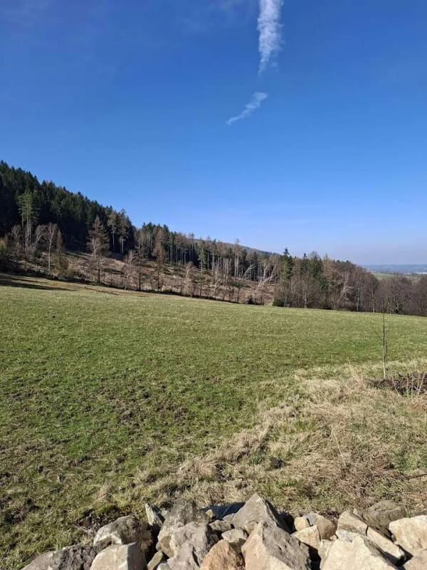 Immobilie in Großschönau - Wohnen wo andere abschalten-Haus mit Blick auf die Lausche in traumhafter Naturlage - Bild 1