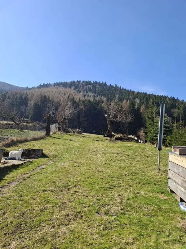 Immobilie in Großschönau - Wohnen wo andere abschalten-Haus mit Blick auf die Lausche in traumhafter Naturlage - Bild 3