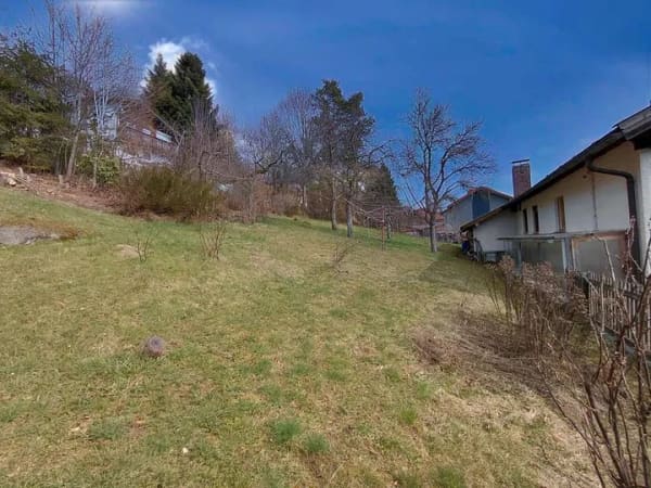 Immobilie in Spiegelau - „GEPFLEGTE DOPPELHAUSHÄLFTE MIT GROSSEM POTENTIAL ZUM FAIREN PREIS"
 - Bild 3
