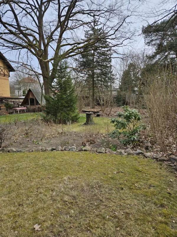 Immobilie in Eichwalde - EFH am Wald auf Erbpachtgrundstück - Bild 3