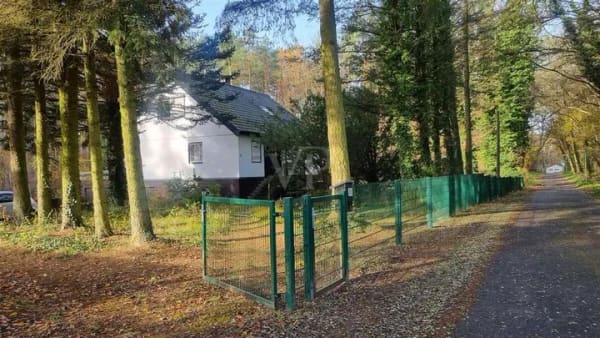 Immobilie in Schorfheide - Naturnah Wohnen - Großes Anwesen
am Waldrand von Groß Schönebeck - Bild 4