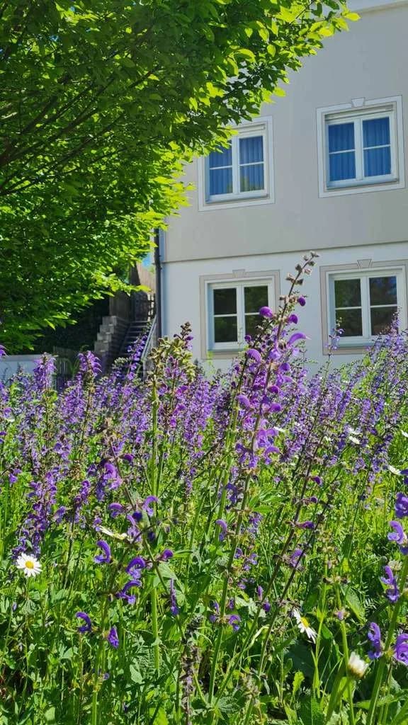Immobilie in Steindorf - Familiendomizil in ländlicher Ruhe zwischen München und Augsburg  - Bild 0