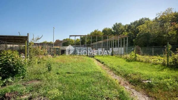 Immobilie in Philippsburg - Zwei Wohneinheiten, ein Zuhause: charmantes Reihenhaus mit Anbau und vielseitigem Platzangebot in P - Bild 3
