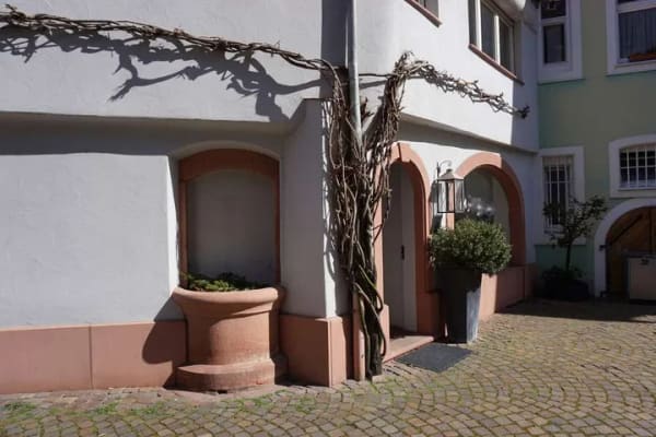 Immobilie in Ladenburg - Einzigartiges Altstadtjuwel mit großzügiger Wohneinheit und Gewerbefläche von Privat zu verkaufen! - Bild 2