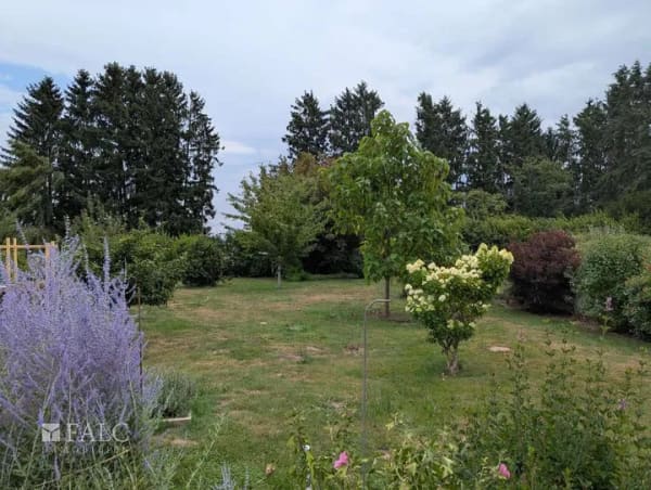 Immobilie in Kapsweyer - Haus mit Ausbaupotential und großem Garten - Bild 3