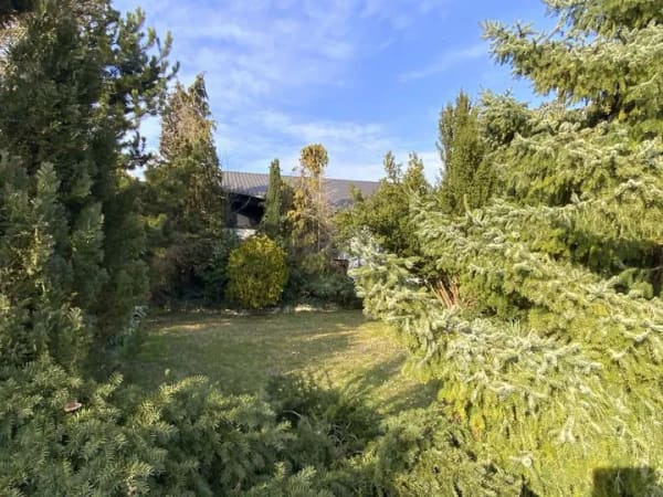 Immobilie in Kösching - Bungalow in Kösching - Ein Ort für neue Perspektiven - Bild 1