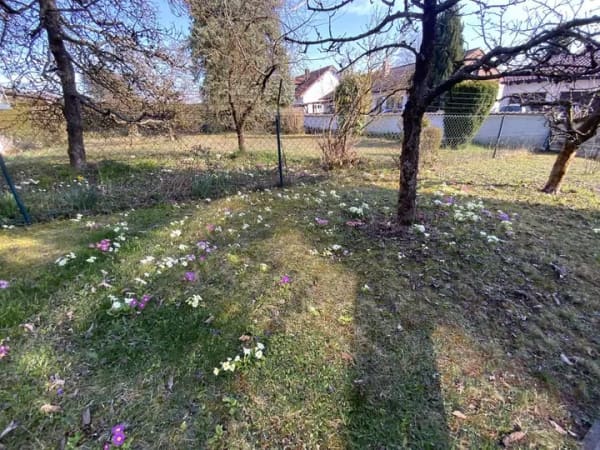 Immobilie in Kösching - Bungalow in Kösching - Ein Ort für neue Perspektiven - Bild 3