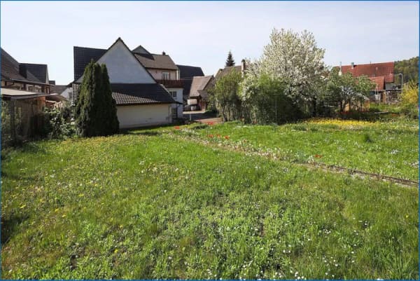 Immobilie in Steißlingen - Steisslingen: Einfamilienhaus m. schönem, großem Bau-Grundstück (knapp 1000 qm) u. viel Nutzfläche! - Bild 3