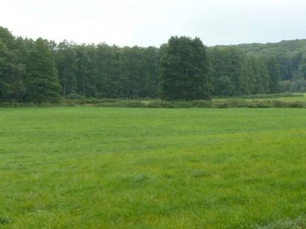 Immobilie in Uckerland - Alleinlage mit 100 qm Haus, Scheunen und 92 Hektar Land - Bild 1