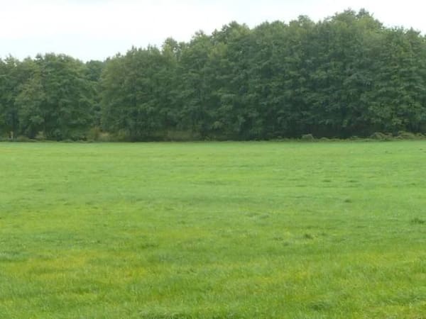 Immobilie in Uckerland - Alleinlage mit 100 qm Haus, Scheunen und 92 Hektar Land - Bild 2