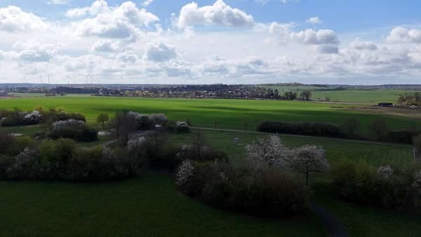 Immobilie in Wolfsburg - Vielseitiges Wohnjuwel: Haus mit zwei Einliegerwohnungen, Vollkeller & geräumiger Doppelgarage & Ca - Bild 2