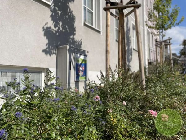 Immobilie in Neustadt an der Aisch - ** BESTLage ** in historischer Altstadt ** DIE Top 3 Zimmer-Garten-Whg ** 120 qm ** 2 Stellplätze - Bild 3