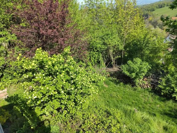 Immobilie in Mörlenbach - Viel Platz für den Alltag im Einfamilienhaus in Mörlenbach - Bild 2