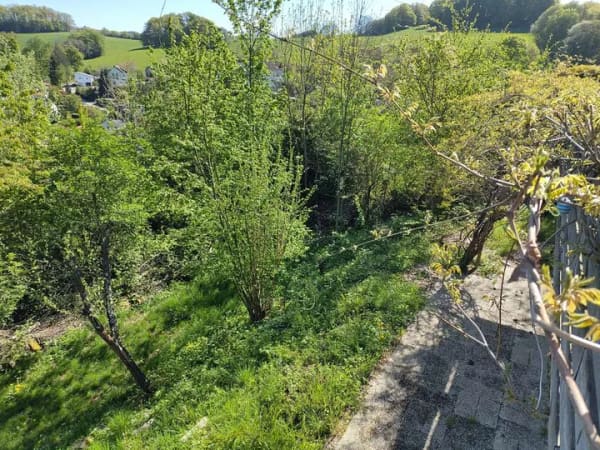 Immobilie in Mörlenbach - Viel Platz für den Alltag im Einfamilienhaus in Mörlenbach - Bild 3
