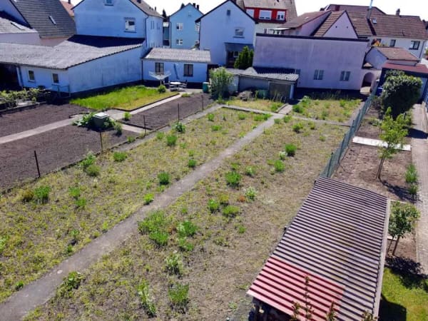 Immobilie in Kronau - Einfamilienhaus mit großem Grundstück und Ausbaupotential - Bild 2