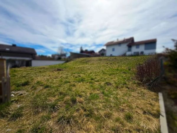 Immobilie in Raisting - NEUBAUPROJEKT: Drei Architektenhäuser in Massivholzbauweise - Bild 3