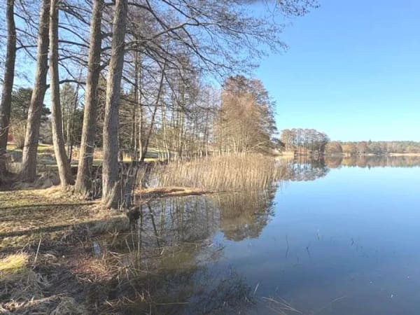 Immobilie in Boitzenburger Land - Perfektes Refugium, besondere Gelegenheit! ehemal. Schulhaus direkt am See in der Uckermark -  - Bild 0