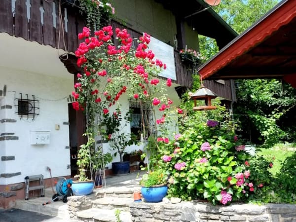 Immobilie in Glattbach - **Viel Platz !!** Familiengerechtes EFH mit ELW, idyllischem Garten, Garage, Carport u.v.m. - Bild 1