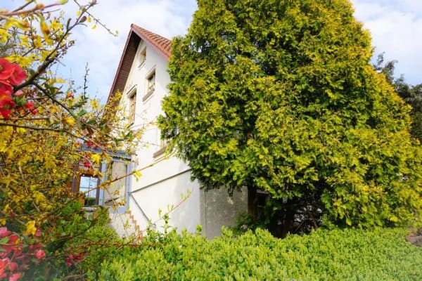 Immobilie in Hummeltal - Sommer im eigenen Garten - EFH mit 3 Garagen, Garten und Gartenhaus in Hummeltal - Bild 1