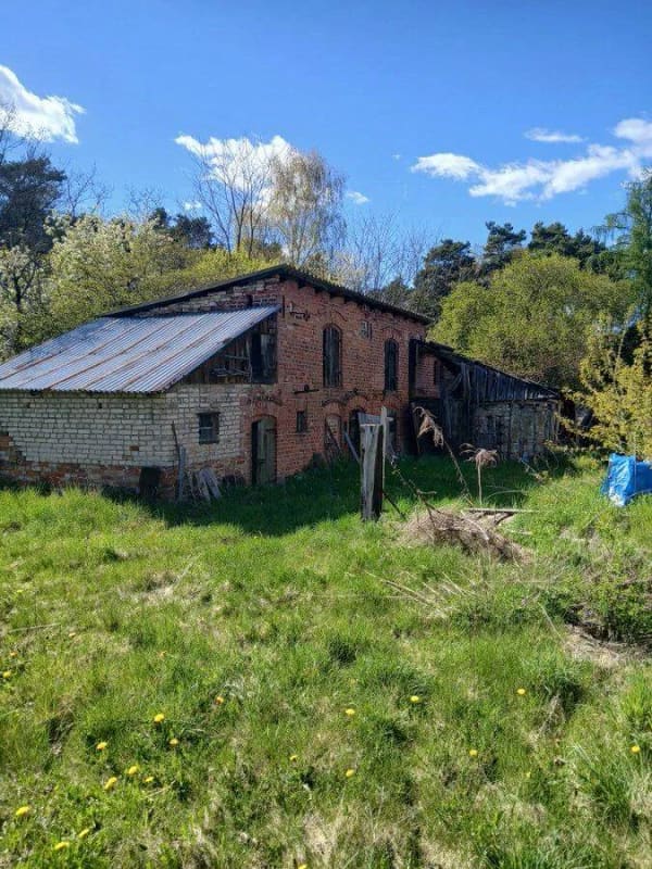 Immobilie in Briesen (Mark) - Wohnhaus mit Potential in 15518 Briesen, LOS - Bild 4