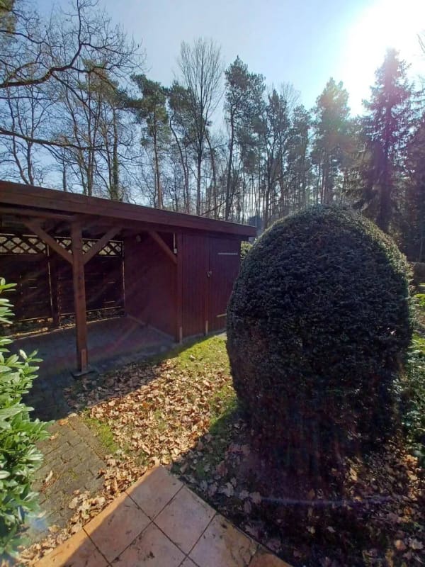 Immobilie in Dahlen - 2 Wochenendgrundstücke am Dammmühlenteich - Bild 2