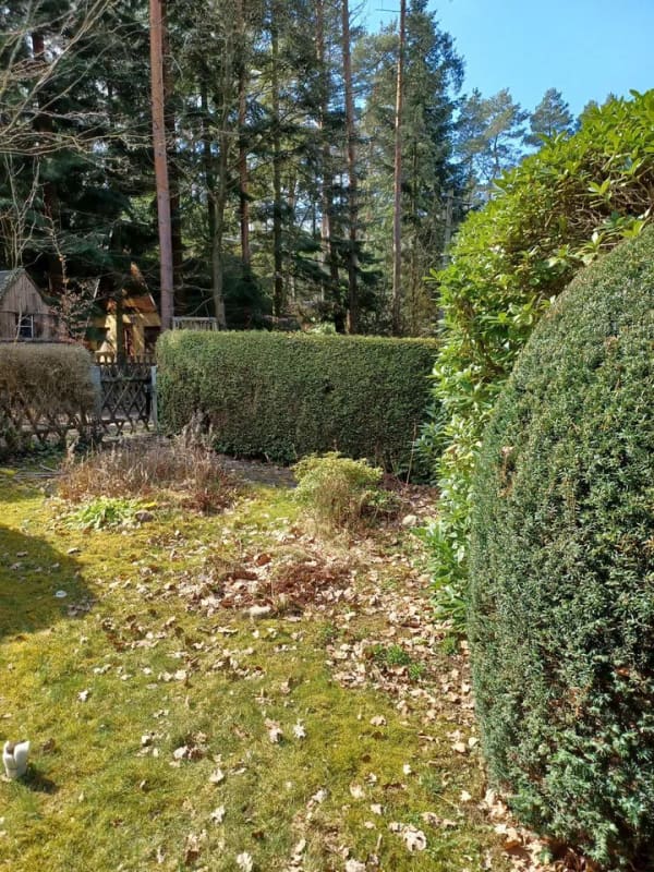 Immobilie in Dahlen - 2 Wochenendgrundstücke am Dammmühlenteich - Bild 3
