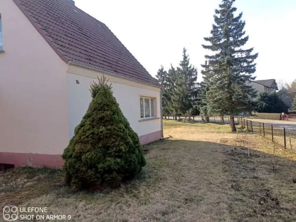 Immobilie in Altwigshagen - Einfamilienhaus in Altwigshagen - Bild 1
