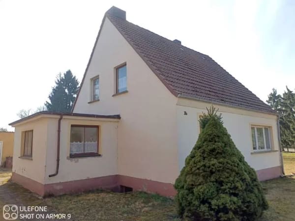 Immobilie in Altwigshagen - Einfamilienhaus in Altwigshagen - Bild 2
