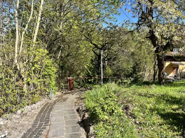 Immobilie in Kyffhäuserland - Einfamilien- oder Ferienhaus am Waldrand  von Sondershausen - Bild 2