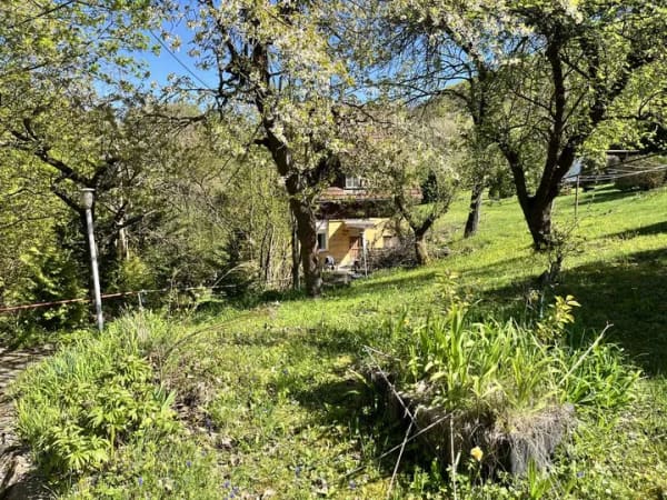 Immobilie in Kyffhäuserland - Einfamilien- oder Ferienhaus am Waldrand  von Sondershausen - Bild 3