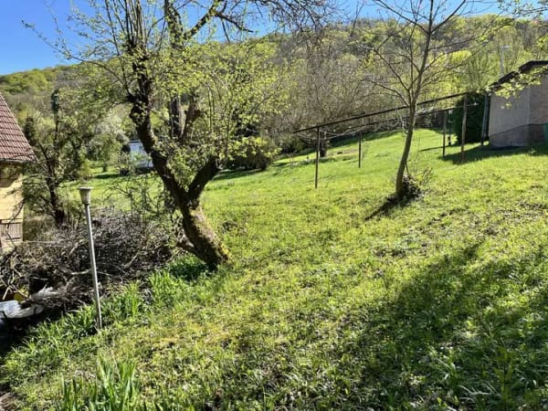 Immobilie in Kyffhäuserland - Einfamilien- oder Ferienhaus am Waldrand  von Sondershausen - Bild 4