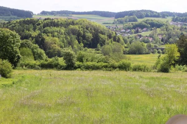 Immobilie in Pegnitz - Pfiffige 3-Zimmerwohnung mit Balkon und TG-Platz in Pegnitz - Bild 1