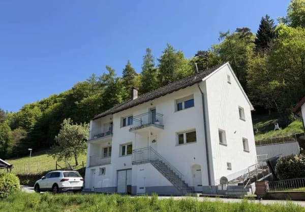 Immobilie in Heiligkreuzsteinach - Modernisiertes, schickes  Zwei-/Einfamilienhaus in Heiligkreuzsteinch-Eiterbach - Bild 0