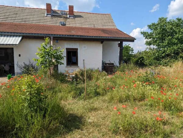 Immobilie in Könnern - Neuer Preis ! Kleines Bauernhaus. Perfekt als Wochenend- oder Sommerhaus. - Bild 0