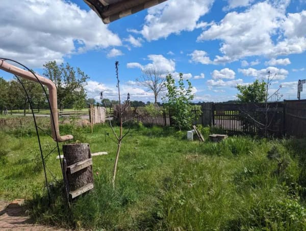 Immobilie in Könnern - Neuer Preis ! Kleines Bauernhaus. Perfekt als Wochenend- oder Sommerhaus. - Bild 3