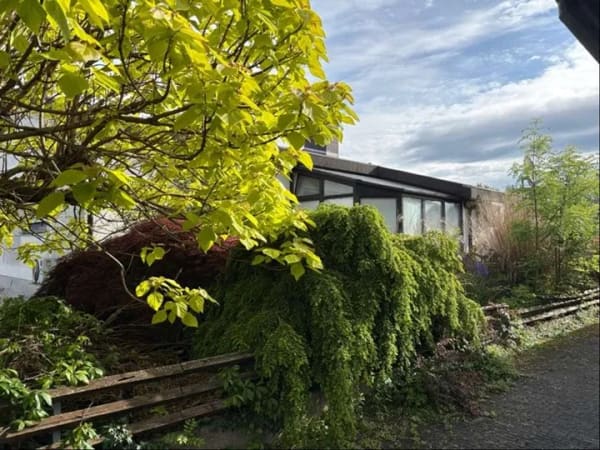 Immobilie in Hochstadt (Pfalz) - Wohnglück auf einer Ebene - Bild 2