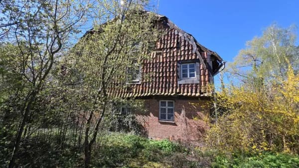 Immobilie in Schellerten - Statt "Alt" bau "Neu" und mein Pferd kommt mit! - Bild 2