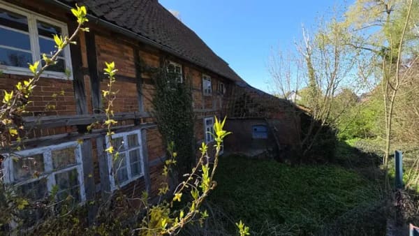 Immobilie in Schellerten - Statt "Alt" bau "Neu" und mein Pferd kommt mit! - Bild 3